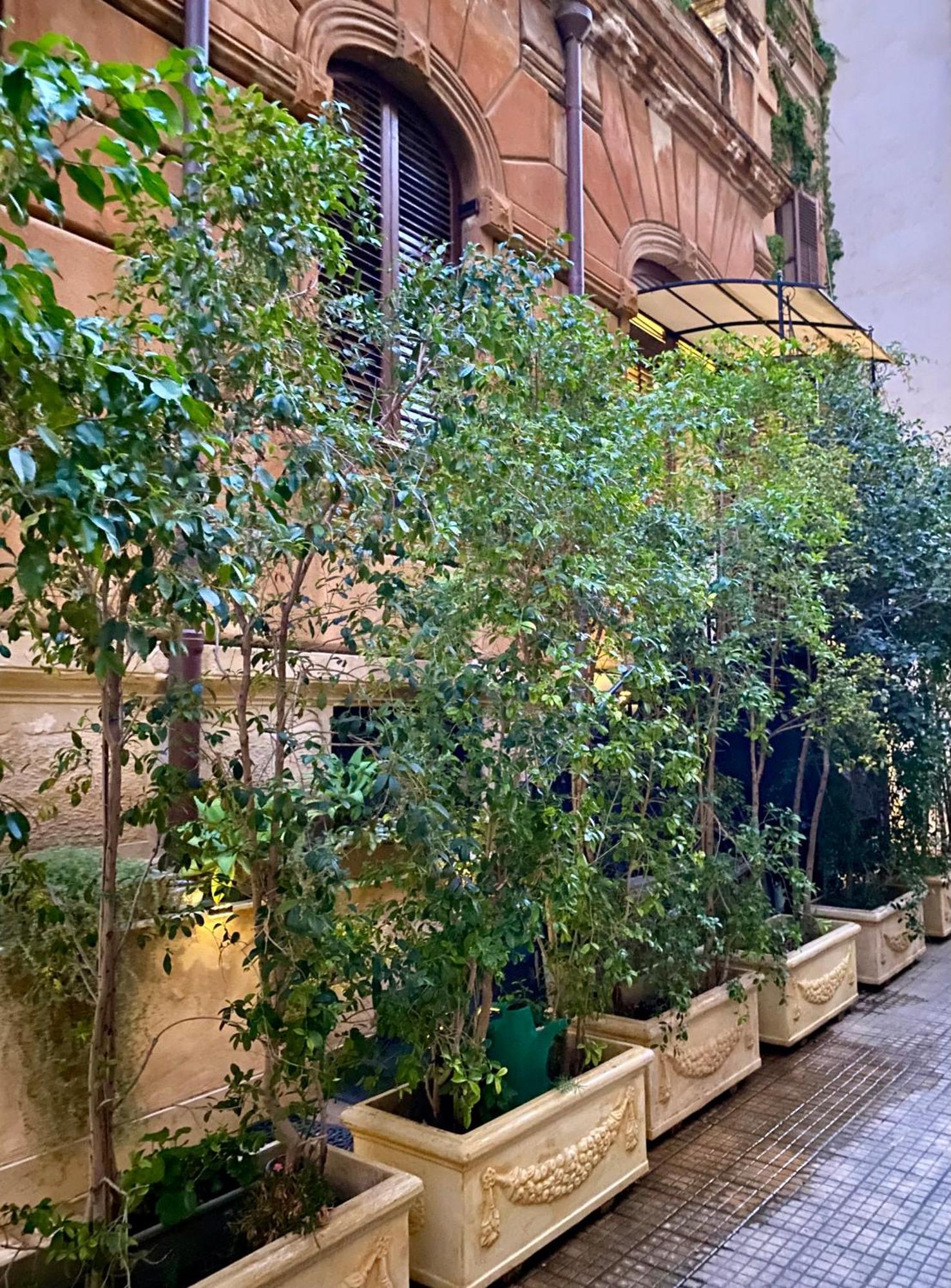 Casa 3D'Oro Palermo Apartment — Photos 1